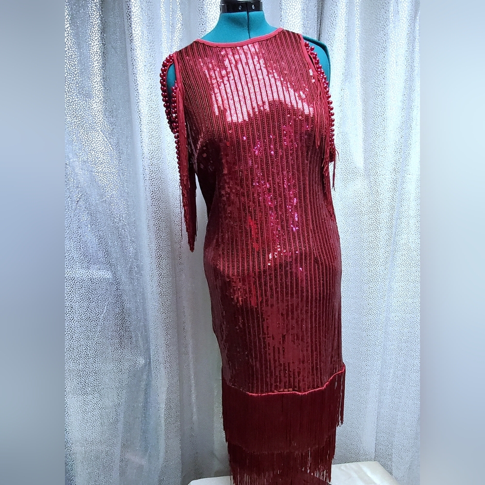 Sequin Fringe Red Party Dress Tassels 1920s Flapper Elegant Red Sequin Dress - Picture 10 of 11